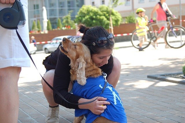 How To Choose a Therapy Dog: A Basic Guide