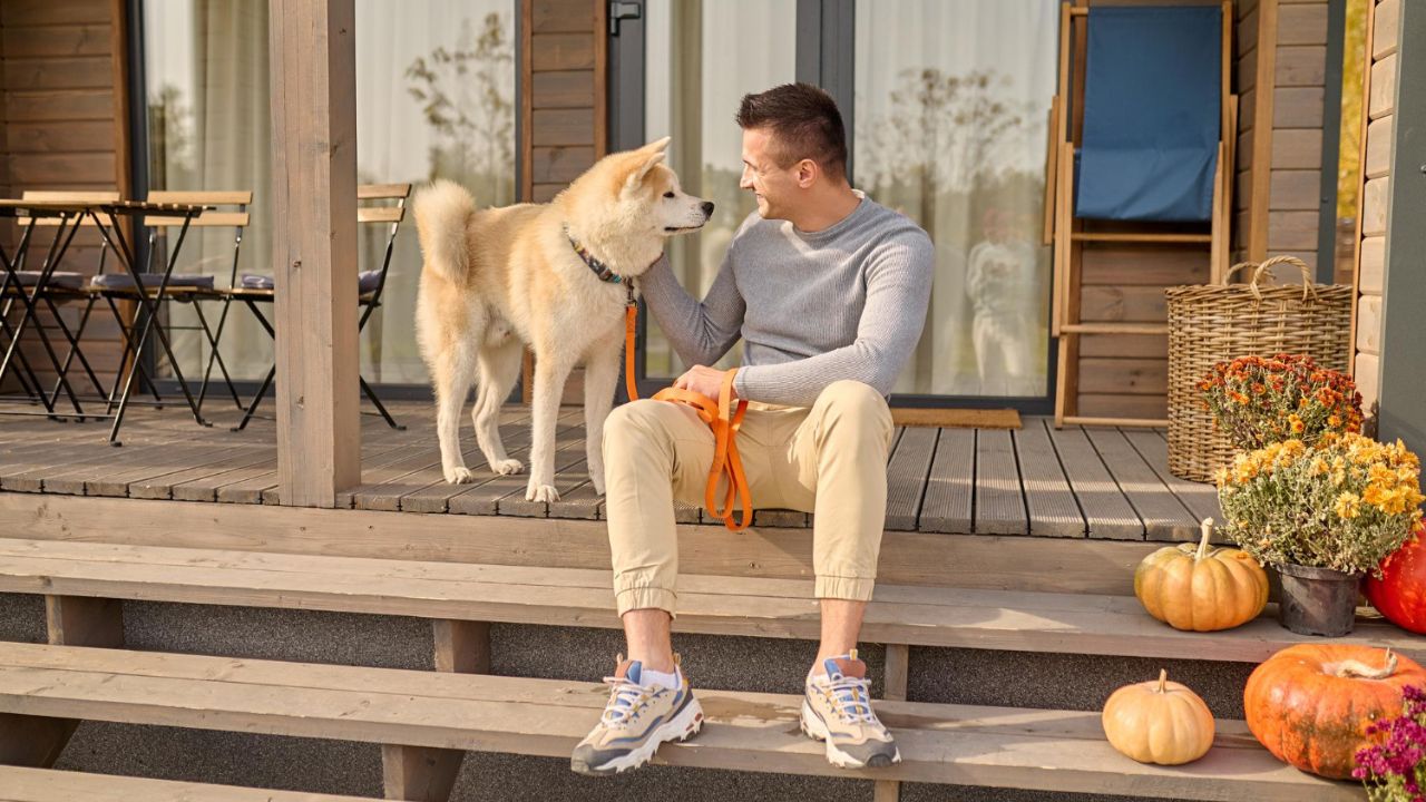 Emotional Support Animal Housing Laws