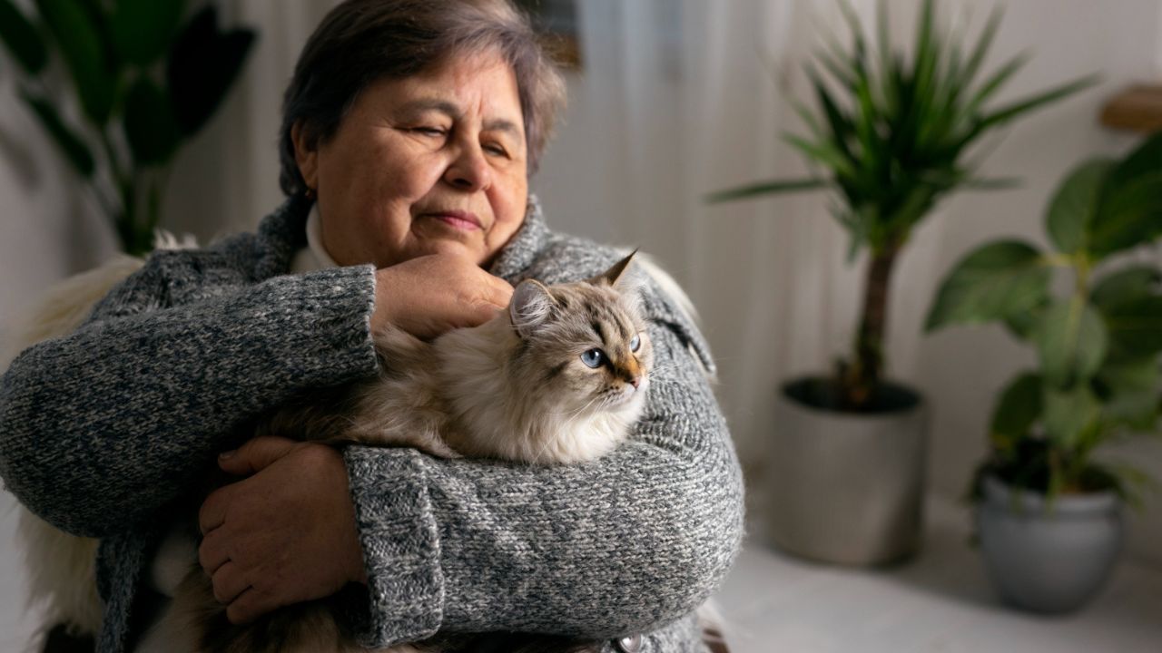 Emotional Support Animals And The ADA
