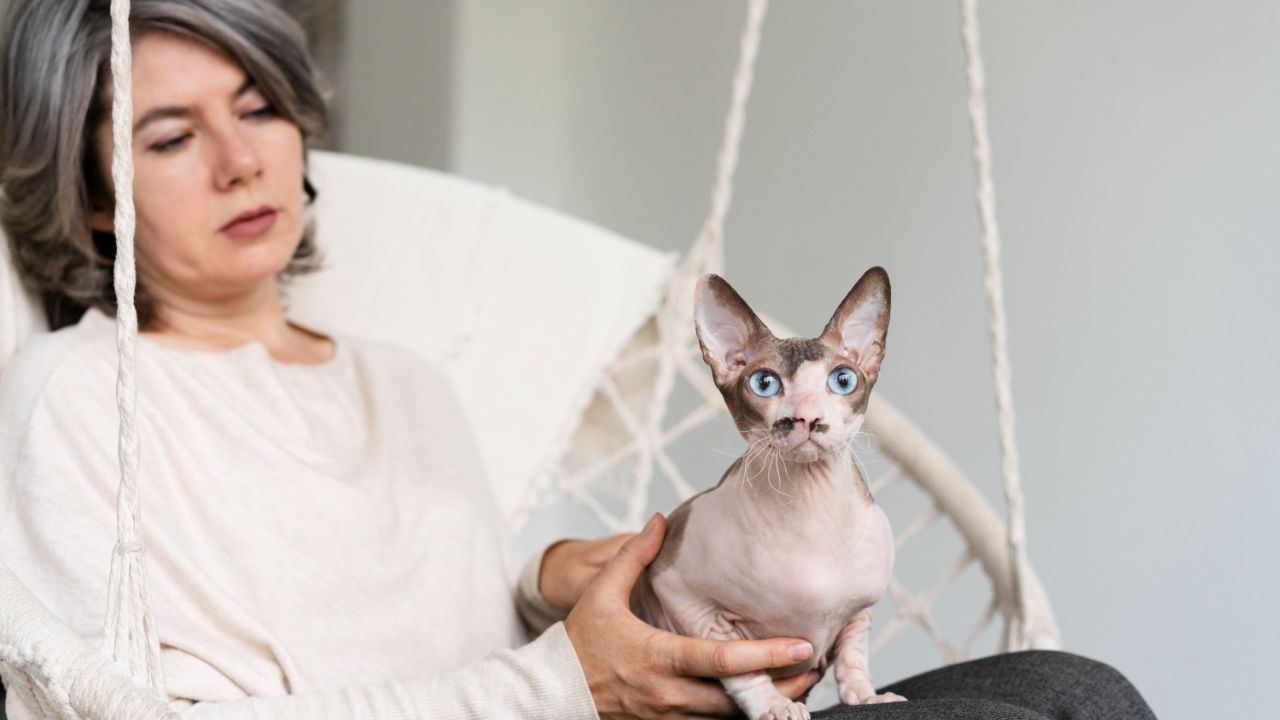 Hypoallergenic Emotional Support Dogs And Animals