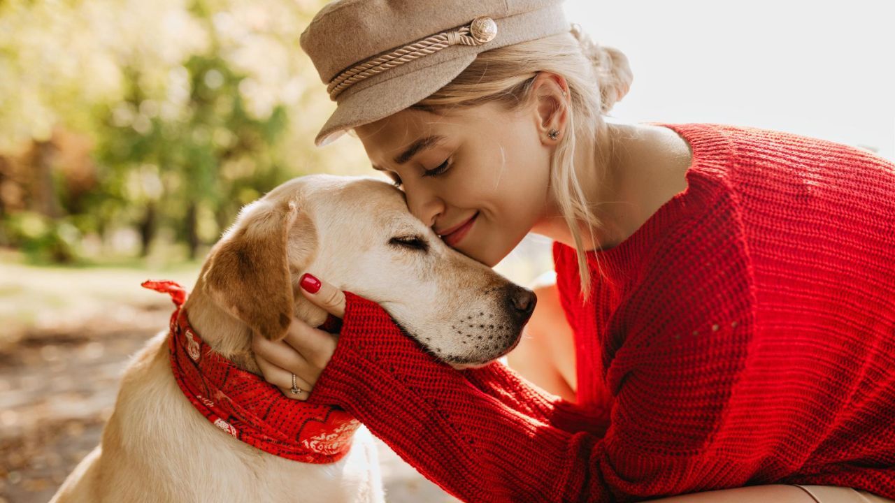 How To Find An Emotional Support Animal