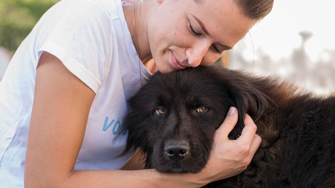 Emotional Support Animal Statistics And Facts In 2024