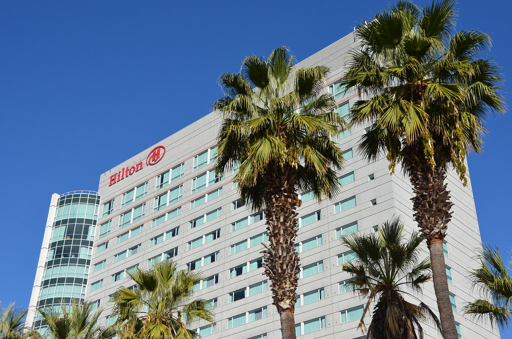 Hilton Emotional Support Animal Policy: What To Know