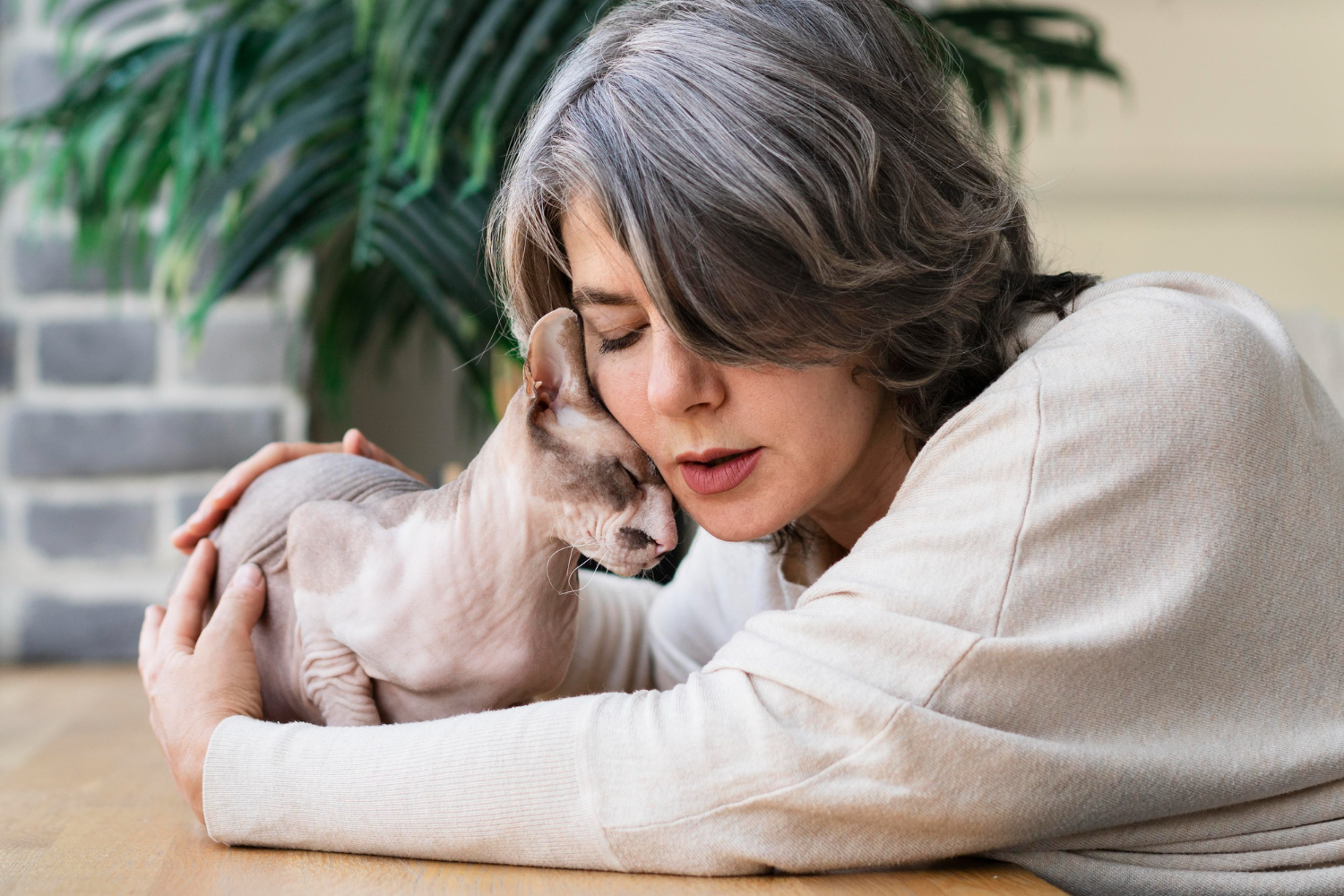 Can Any Cat Be an Emotional Support Cat?