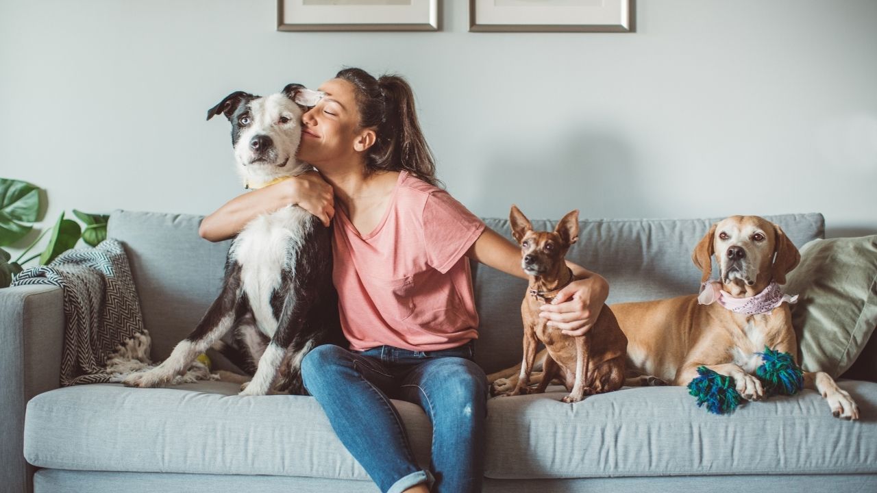 Rules and Regulations for Keeping an ESA in Denver