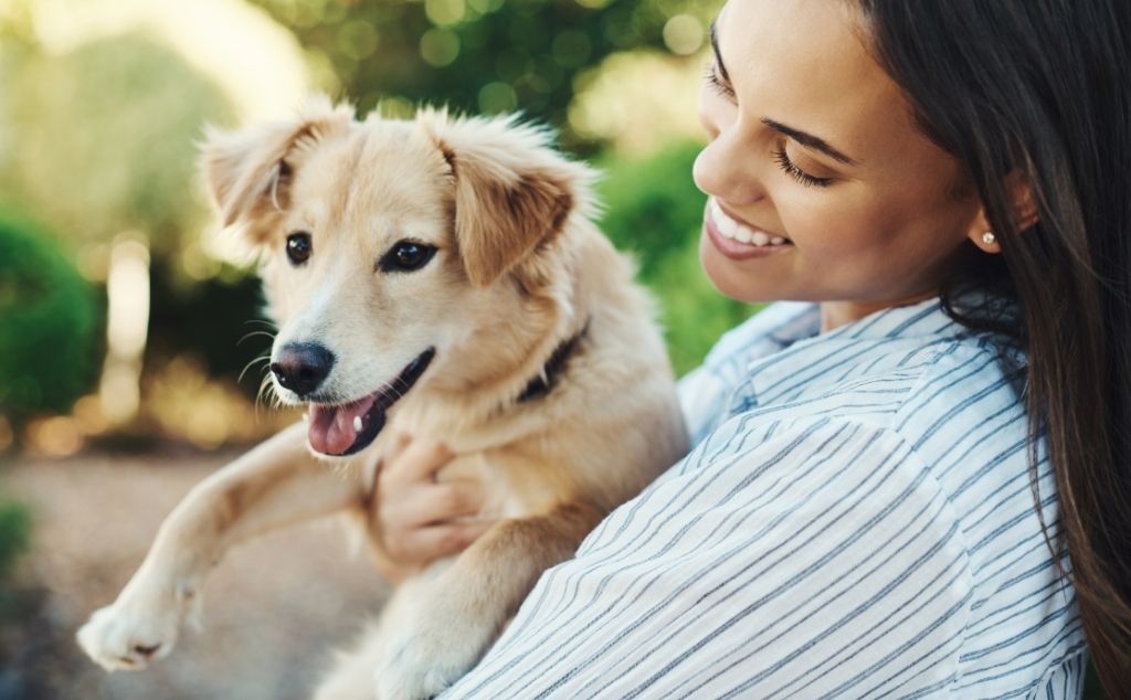 Rules and Regulations for Keeping an ESA in Mesa, Arizona