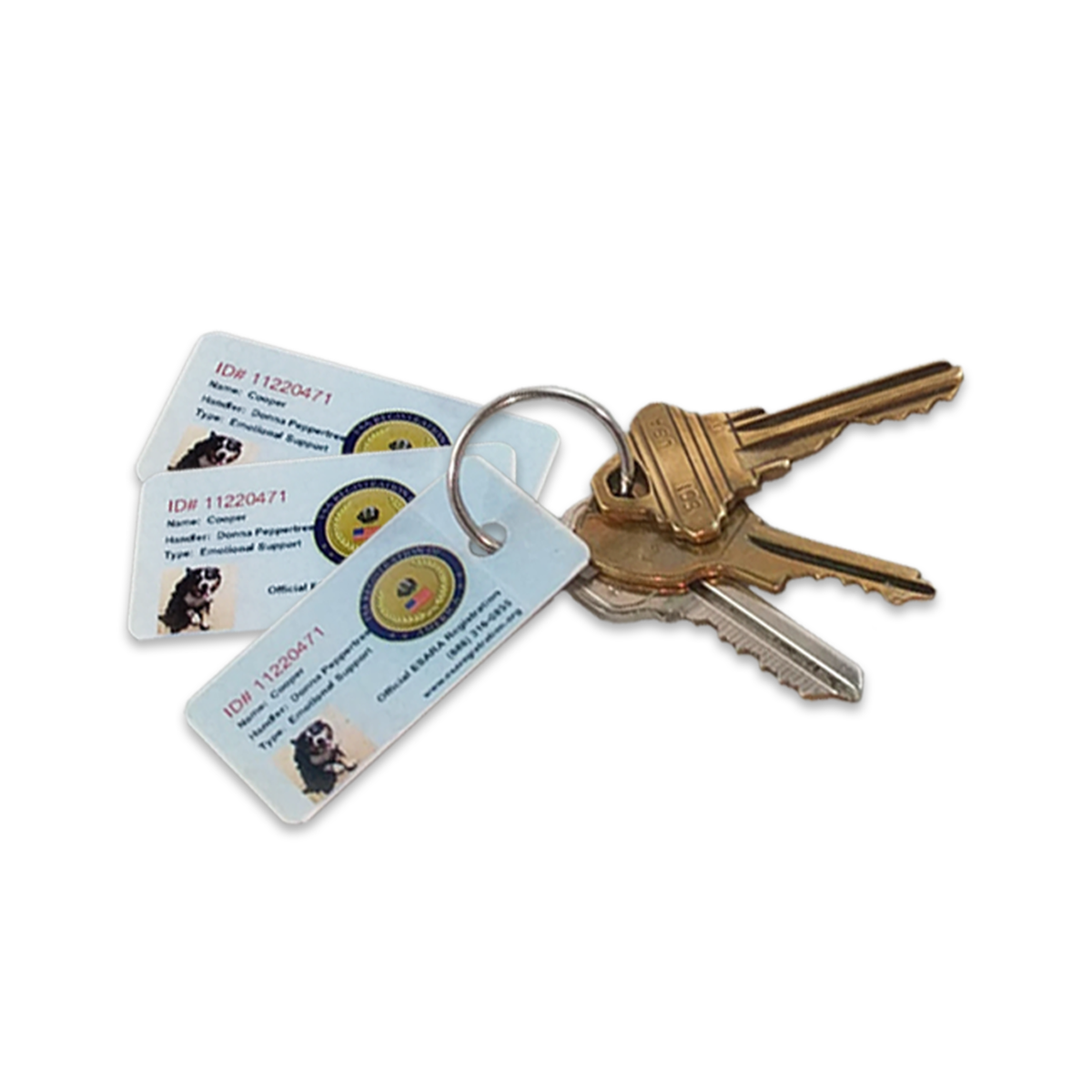 Three (3) Official PVC Mini IDs