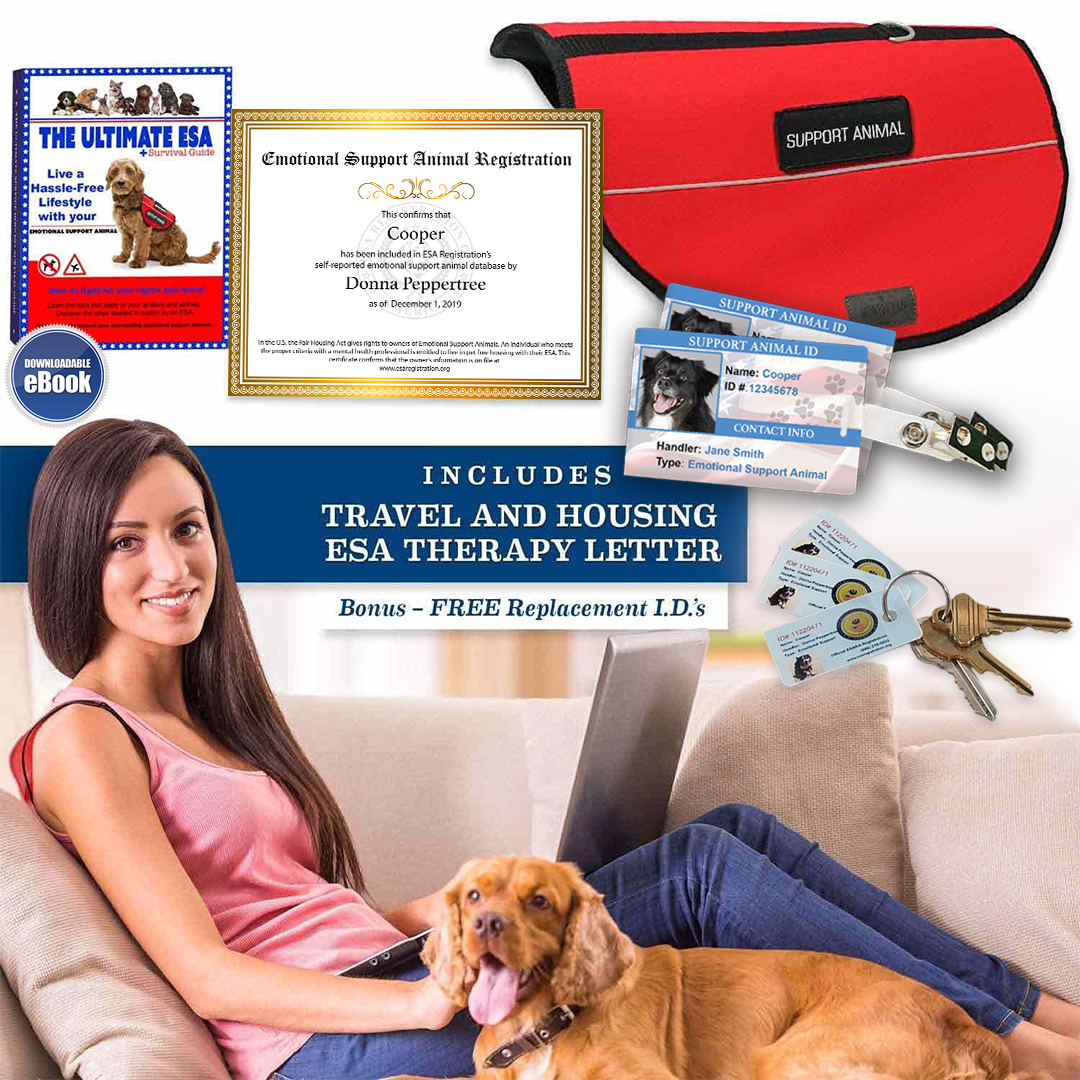 All-You-Need ESA Package