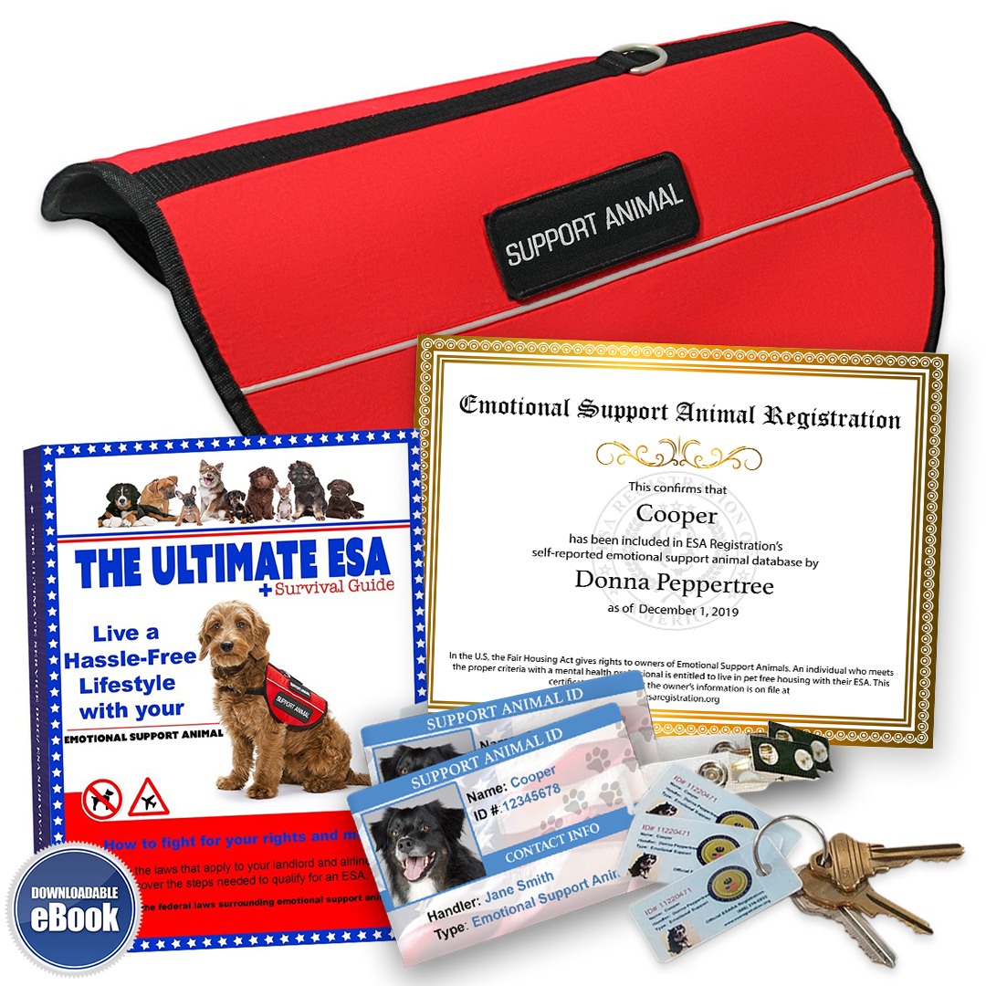 Ultimate ESA Lifetime VIP Kit